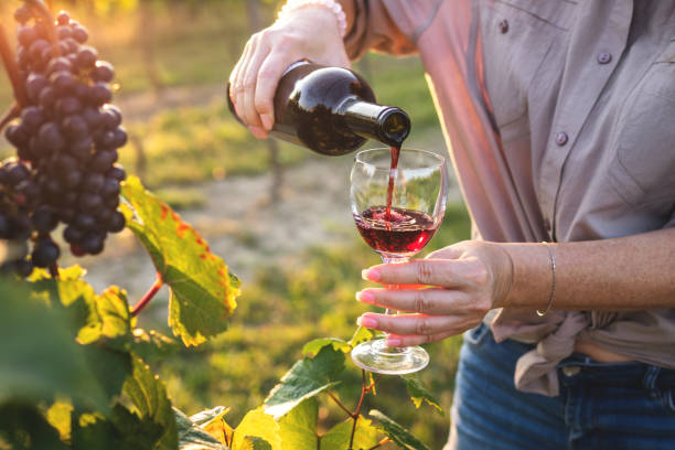 istock Woman pouring red wine at vineyard 1273537425