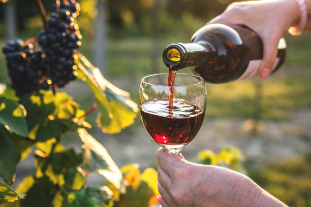 mujer vertiendo vino tinto en el viñedo - wine tasting fotografías e imágenes de stock