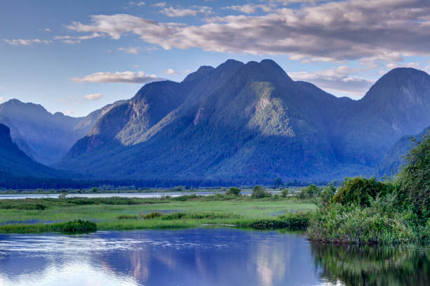 istock summer landscape in Pitt Meadows, BC Canada 1273538206