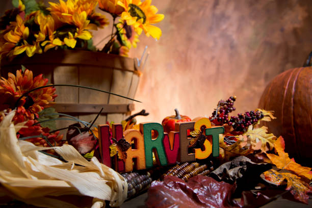 Autumn background of vibrant colors.  Sunflowers and foliage.  Harvest sign and plenty of copy space.  Bushel basket