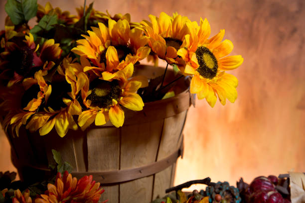 Autumn background of vibrant colors.  Sunflowers and foliage.  Large bushel basket.