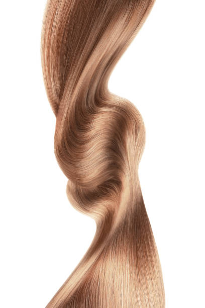 wirowane długie brązowe włosy wyizolowane na białym tle - human hair curled up hair extension isolated zdjęcia i obrazy z banku zdjęć