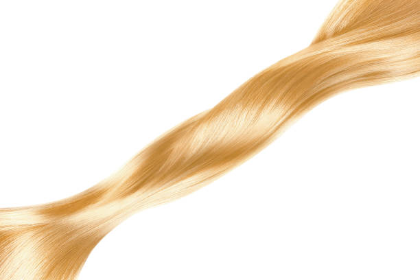 blond włosy w kształcie linii na białym tle, izolowane - human hair curled up hair extension isolated zdjęcia i obrazy z banku zdjęć