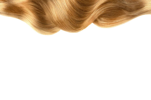 capelli castani lucidi isolati su bianco. sfondo con spazio di copia - human hair curled up hair extension isolated foto e immagini stock
