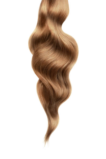 capelli castani lucidi su sfondo bianco, isolati - human hair curled up hair extension isolated foto e immagini stock