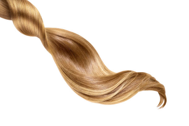 brązowe błyszczące włosy na białym tle, odizolowane - human hair curled up hair extension isolated zdjęcia i obrazy z banku zdjęć