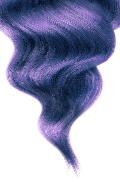 fioletowe błyszczące włosy na białym tle, odizolowane - human hair curled up hair extension isolated zdjęcia i obrazy z banku zdjęć