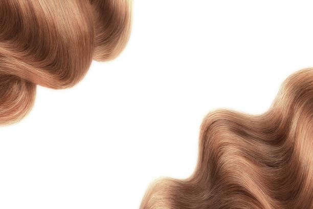 capelli castani lucidi isolati su bianco. sfondo con spazio di copia - human hair curled up hair extension isolated foto e immagini stock