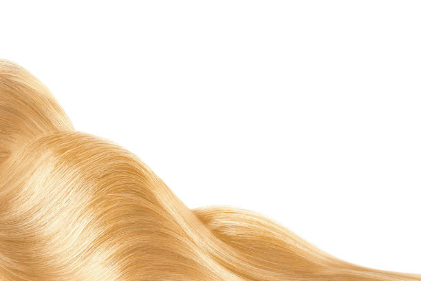 blond błyszczące włosy izolowane na białym. tło z spacją kopiowania - human hair curled up hair extension isolated zdjęcia i obrazy z banku zdjęć