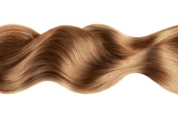 brązowe włosy w kształcie linii na białym tle, izolowane - human hair curled up hair extension isolated zdjęcia i obrazy z banku zdjęć