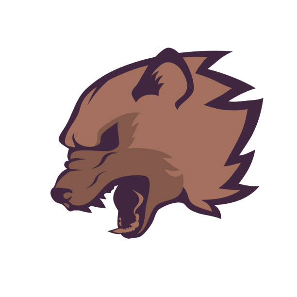 Wolverine head Roaring wolverine head emblem on white background, symbol of aggressive beast cartoon of the hyenas stock illustrations
