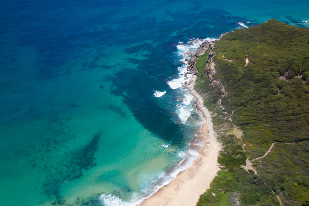 istock Burwood Beach - Aerial View - Newcastle Australia 1273555977