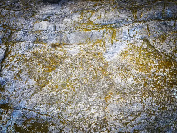 Gray stone background with moss on the surface