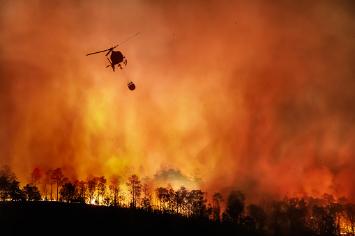 Helicóptero de lucha contra incendios lleva cubo de agua para extinguir el incendio forestal photo
