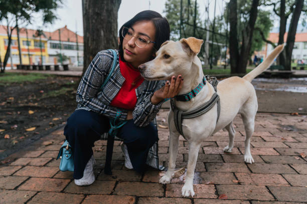 istock Woman playing with her dog 1273570890