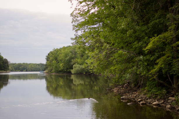 istock Reflection of mature trees by the river at dusk 1273575093