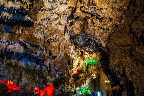 Extensive system of 150 large & small caves with unique formations & limited light. It is a part of the UNESCO Reserve of Halong Bay.