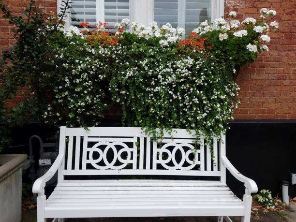 istock white bench with brick house and white flowers 1273577639