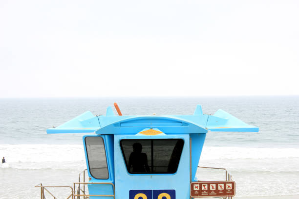 istock Lifeguard hut on beach 1273578474