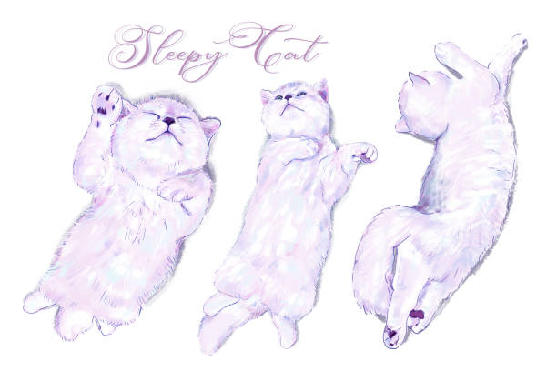 Adorable British Shorthair cat lying in three poses, digital painting.