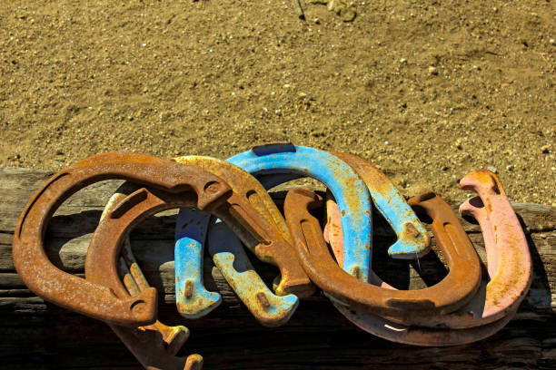 Close-up of multi-colored horseshoes on a wood block with dirt background