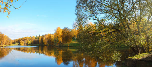 istock Beautiful autumn nature landscape in park 1273582823