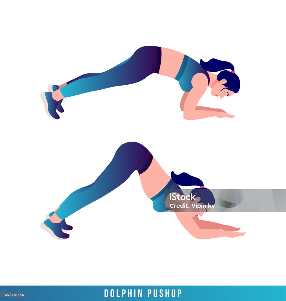 Bài Tập Chống Cá Heo Thể Dục Thể Thao Nữ Aerobic Và Các Bài Tập ...