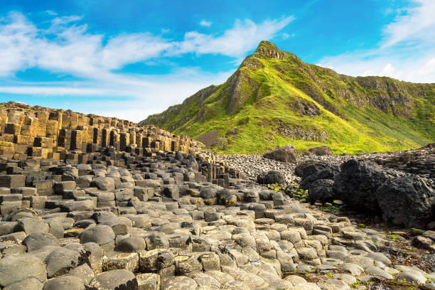 Giant's Causeway in Northern Ireland Giant's Causeway in a beautiful summer day, Northern Ireland giants causeway photos stock pictures, royalty-free photos & images
