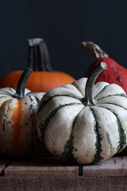istock season for pumpkin 1273594626
