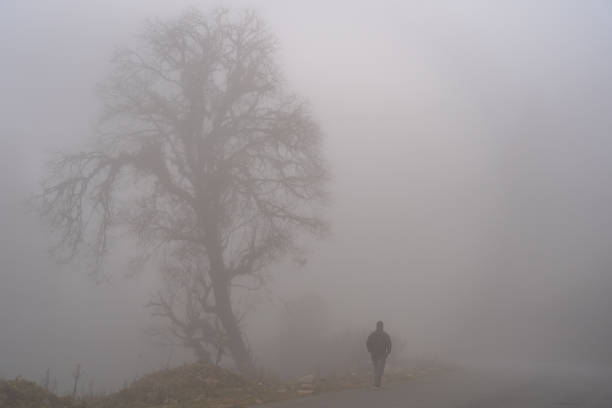 istock Walking man on a misty morning. 1273598720