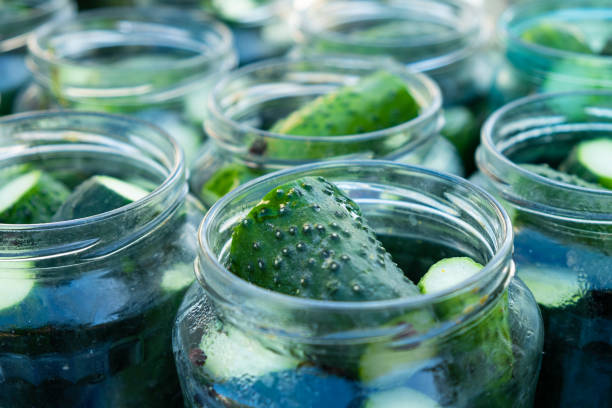 istock conservation, salting process cucumbers for the winter, jars with gherkins close-up 1273598761
