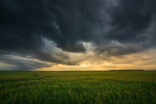 istock Storm clouds , dramatic dark sky over the rural field landscape 1273599356