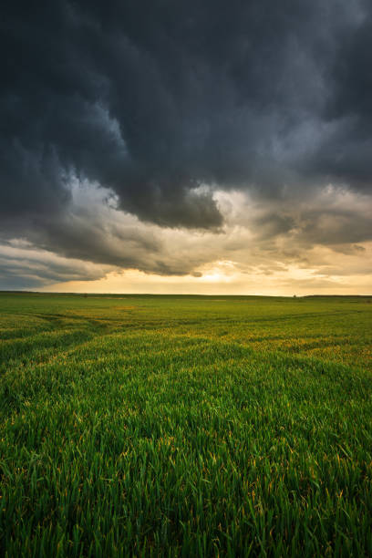istock Storm clouds , dramatic dark sky over the rural field landscape 1273599441