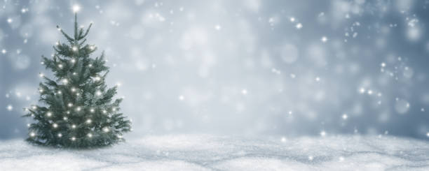 抽象的なぼやけた冬の風景のクリスマスの木とクリスマスライトとクリスマスの背景 - christmas christmas tree snow winter ストックフォトと画像
