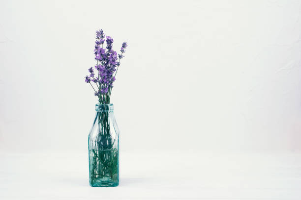 istock Lavender flowers in glass bottle on white background with copyspace for text. Trendy toned photo for your blog or presentation 1273604135