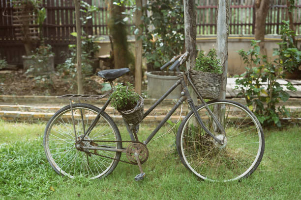 istock Old rusty vintage bicycle and flowers in a wicker basket. 1273608364