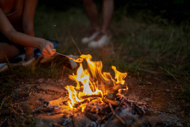 istock Women setting up campsite in forest 1273623541