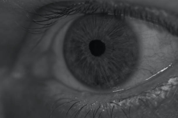 istock Macro art black and white human eye 1273624588