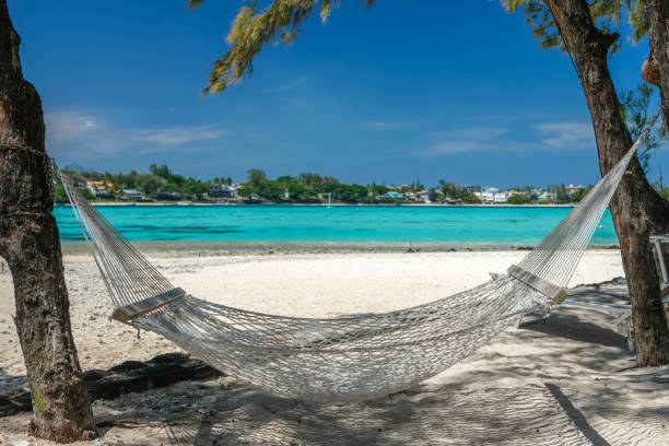 istock Hammock under palm trees on a beautiful beach, Mauritius island 1273628692
