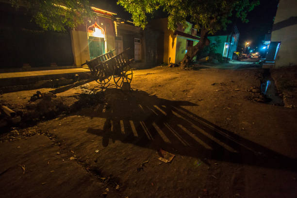 Rural scenic view in night showing bullock cart