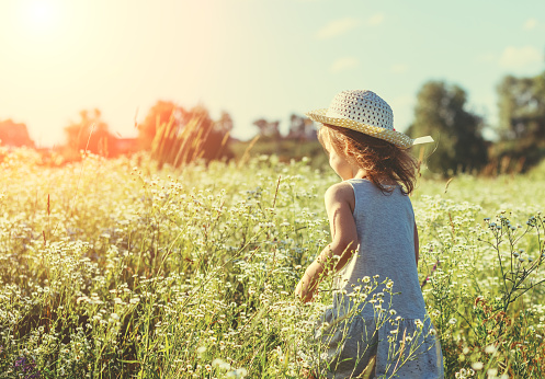 Happy little girl in straw hat walking in the flowers field on a sunny summer day