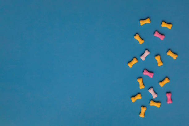 istock Multicolor sweets in the form of a dog bone on a blue background. Flat lay, copy space, top view. 1273649342