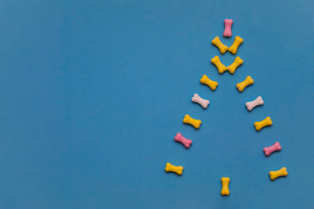istock Multicolor sweets in the form of a dog bone on a blue background. Flat lay, copy space, top view. 1273649361