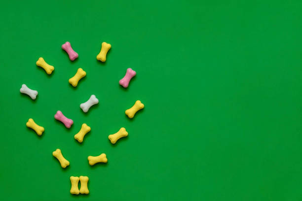 istock Candy in the form of a dog bone on a green background. Flat lay, copy space, top view. 1273649366