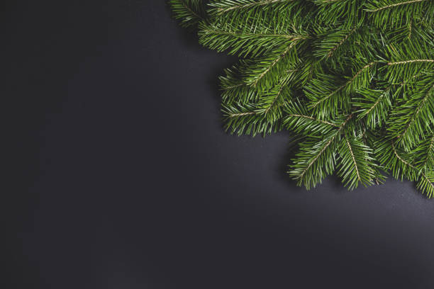 istock Christmas fir tree on black background 1273660021