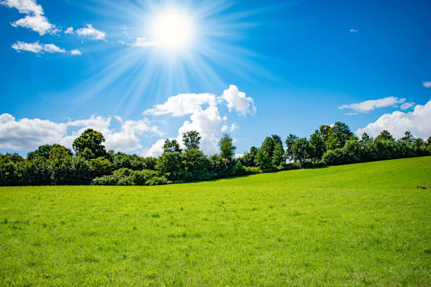 green field and blue sky with clouds