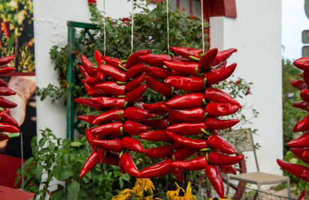 Espelette peppers, or the Espelette peppers, chillis