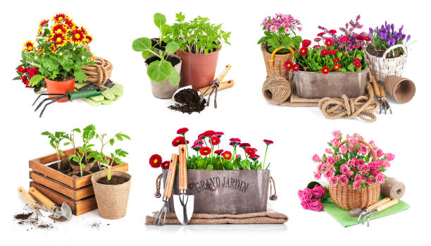 istock Bouquet flowers in pot with garden tools 1273670319