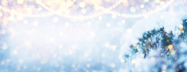 istock Winter fir tree christmas scene with sunlight. 1273671450