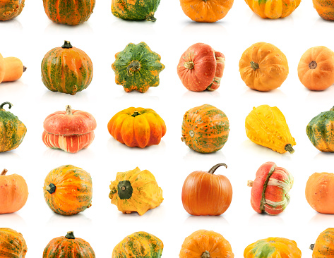 Subject: A family of winter squash isolated on white background.